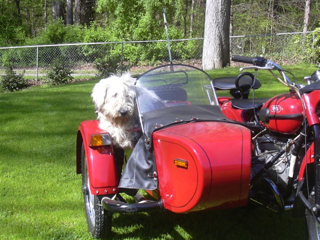 /images/events/7/Woo-dro Biker Dog 001.jpg